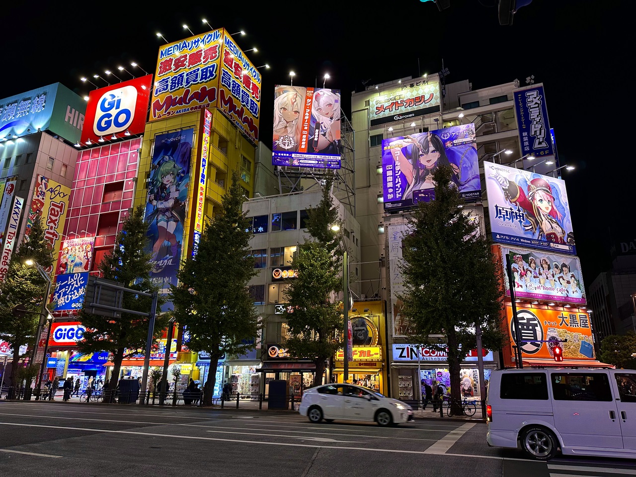 Akihabara Neon Lights