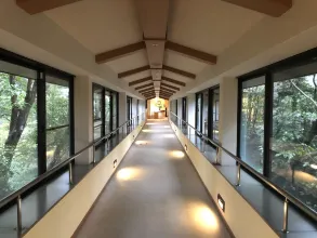 Dogo Onsen arcade at night with lanterns — approach to the Honkan