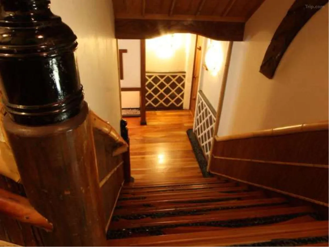Japanese macaques bathing in hot spring at Jigokudani Monkey Park, Nagano — snow monkeys in winter