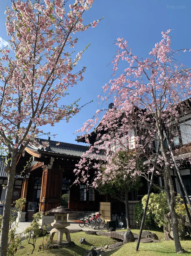 Nara Hotel exterior — Momoyama Goten style cypress wood architecture, Nara Park hillside