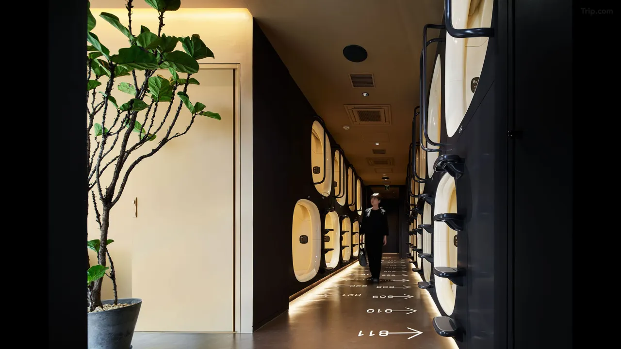 Lounge and co-working space with city view