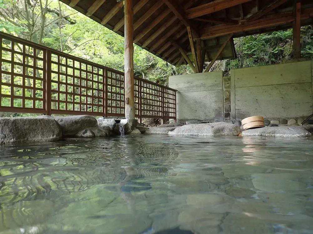 Traditional tatami guest room