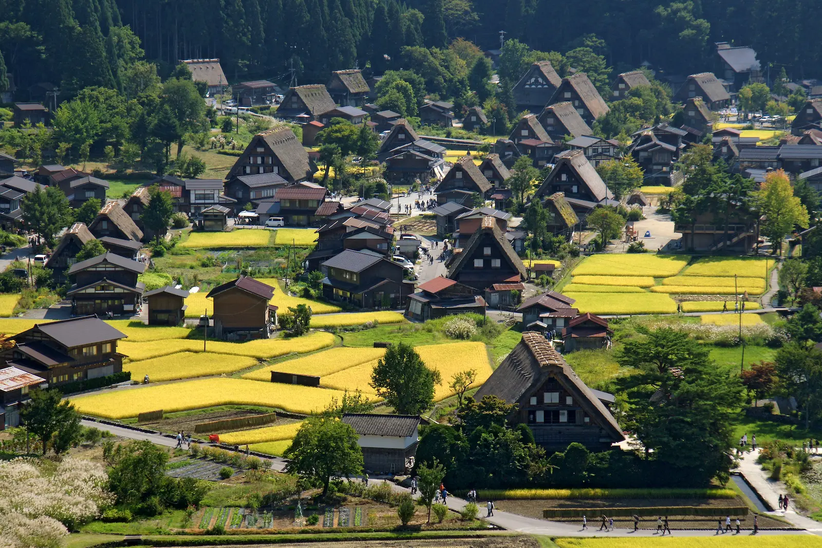 Shiroyamakan ryokan — 1884 historic building inside Shirakawa-go World Heritage village
